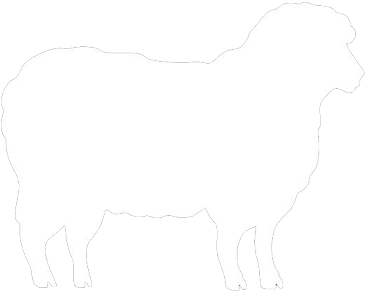 Graphics And More Sheep Lamb Wall Vinyl Art (400x335), Png Download