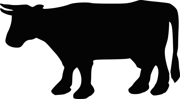 Beef Cattle Holstein Friesian Cattle Calf Dairy Cattle - Cow Silhouette (620x340), Png Download