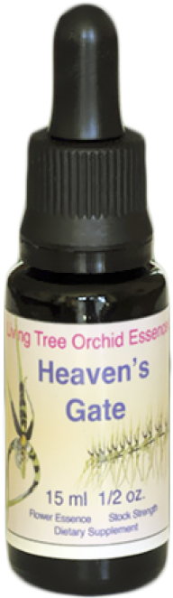 Essential Oil (492x705), Png Download