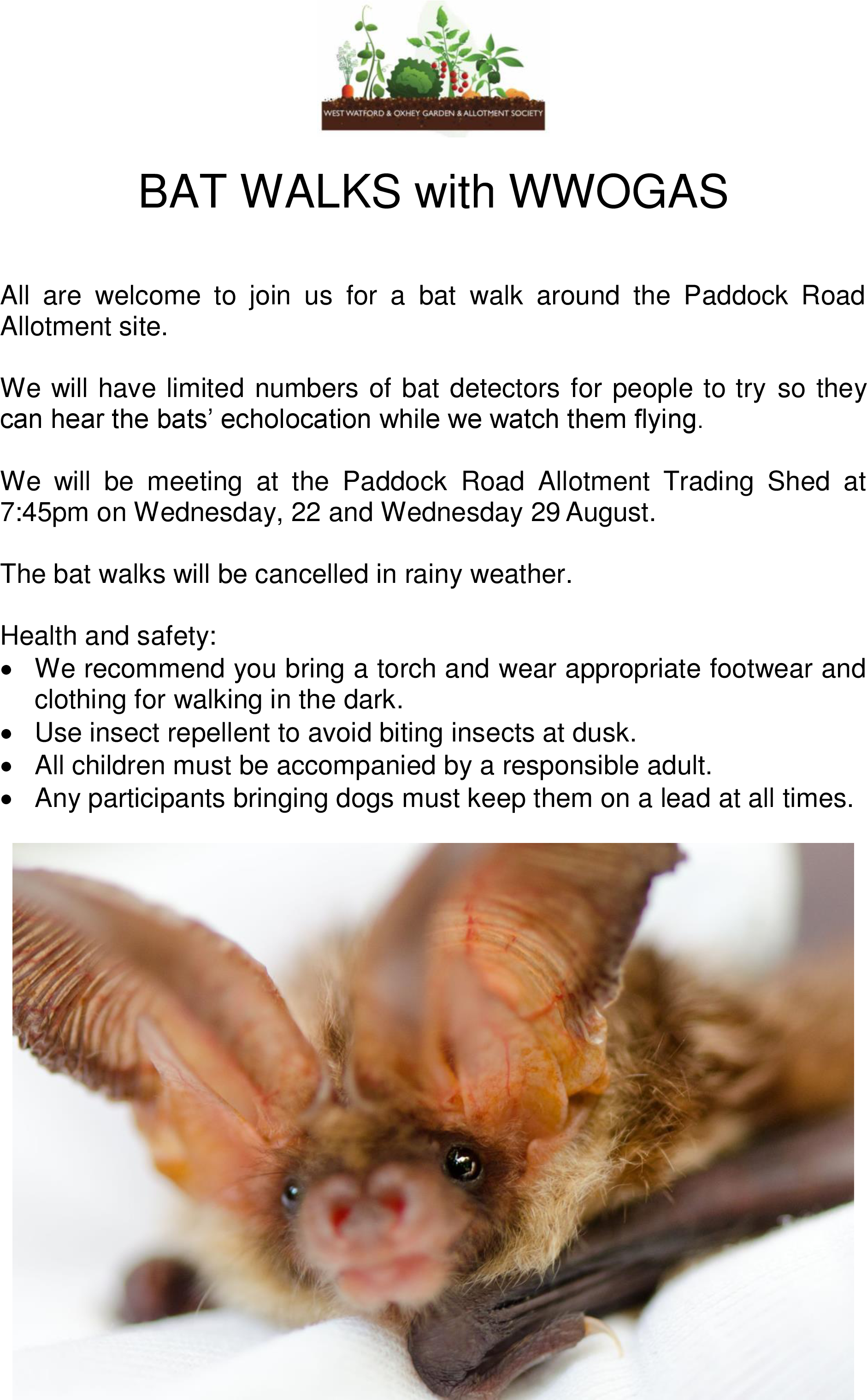 Wwogas Bat Walk Info Sheet - Vegetable Garden Illustration (2481x3508), Png Download