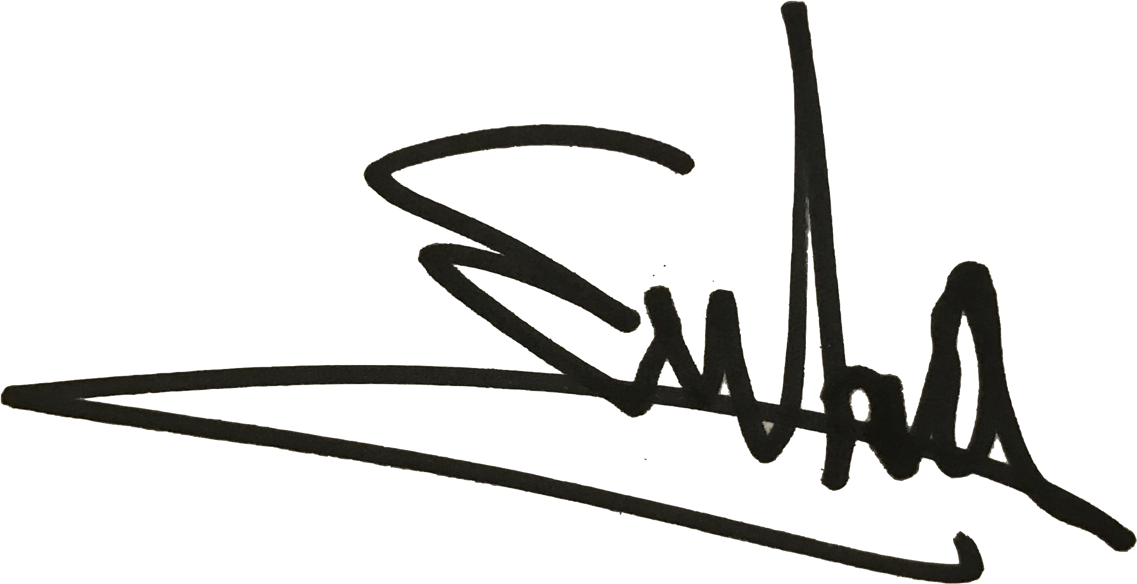 Emilia Sig - Sig Sauer (2637x1709), Png Download