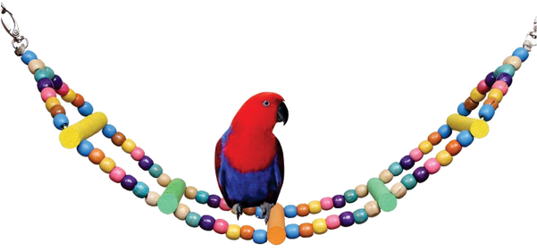 Aazil Colorful Naturals Rope Ladder Bird Toy - Rope (600x720), Png Download