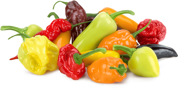 Hotshots Loose Product Shot - Mucci Farms Ltd. (600x380), Png Download