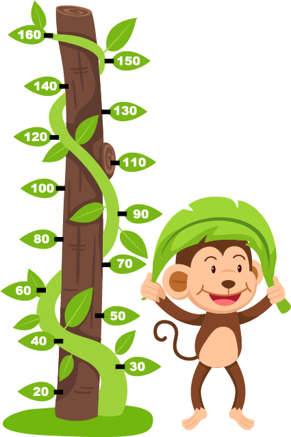 Vinilo Decorativo Infantil Árbol Medidor - Dry Wet Opposites (425x638), Png Download