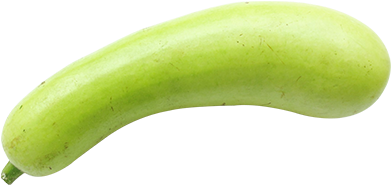 Bottle Gourd - Bottle Gourd Vegetable (500x500), Png Download