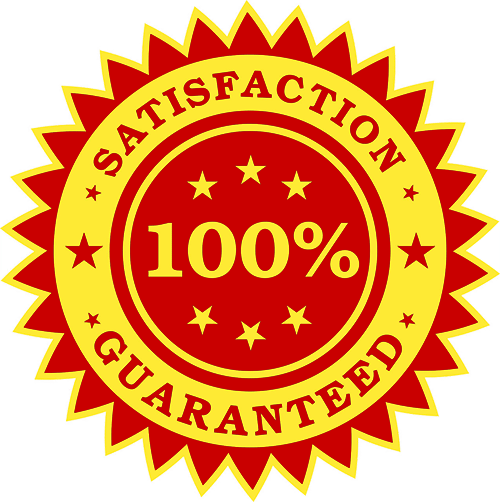 Sealcoating Asphalt Paving Satisfaction Guaranteed - Nva Coat Of Arms (500x502), Png Download