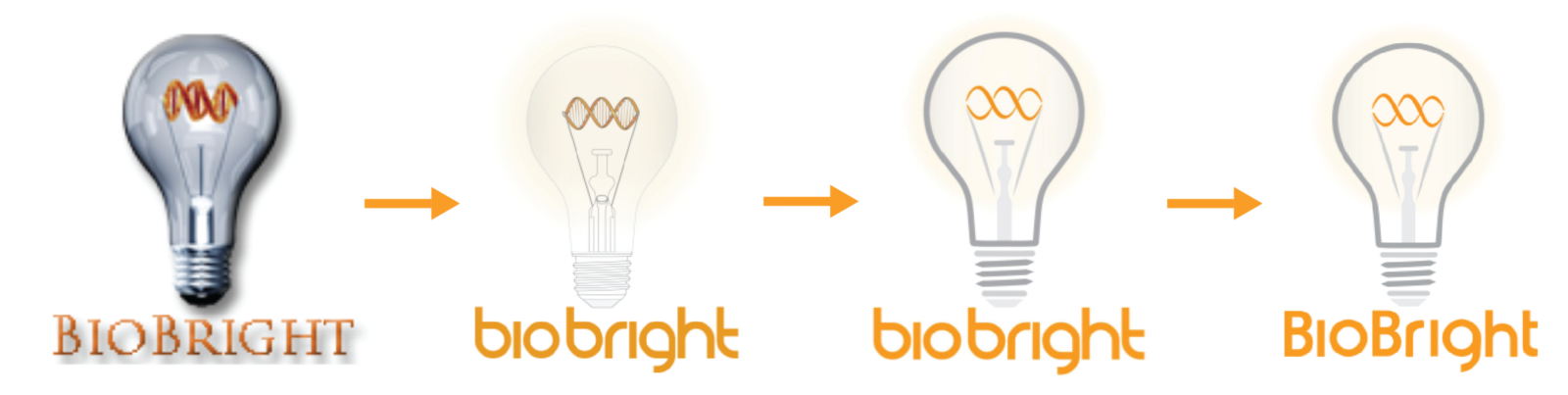 I Was Quite Pleased To See That Simplification Was - Incandescent Light Bulb (1600x403), Png Download