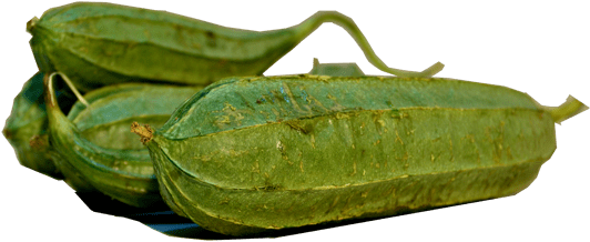 Related - Gourd (600x338), Png Download