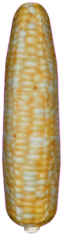 Corn - Corn Kernels (400x400), Png Download