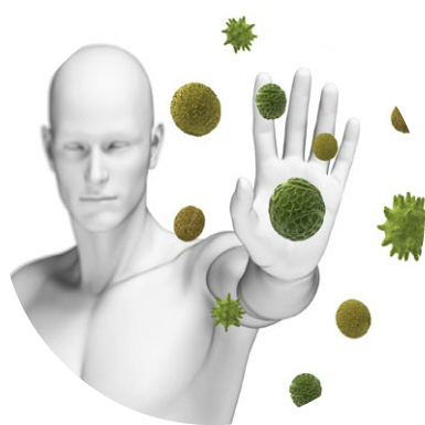 5 Excellent Super Foods For Boosting The Immune System - Immunity (400x400), Png Download