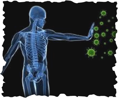 This Website Is Focused On Educating You, Oh Mighty - Host Defense Peptides And Their Potential As Therapeutic (383x320), Png Download