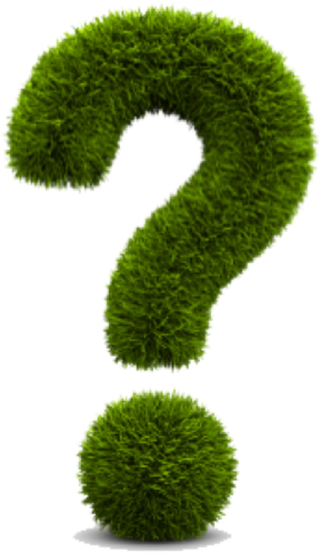 Ponto De Interrogacao - Question Mark Green Energy (833x555), Png Download
