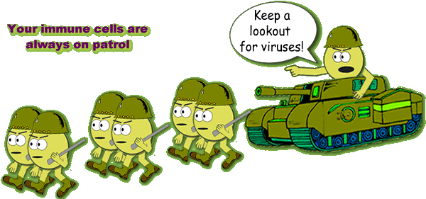 The Cd4 Cells Recognize Infections In The Body And - Immune System Attacking (637x292), Png Download