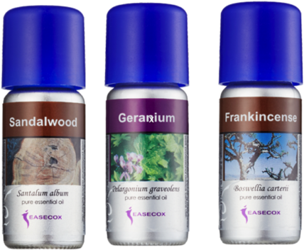 Skin & Immune System - Easecox Essential Oil 内分泌 (480x462), Png Download