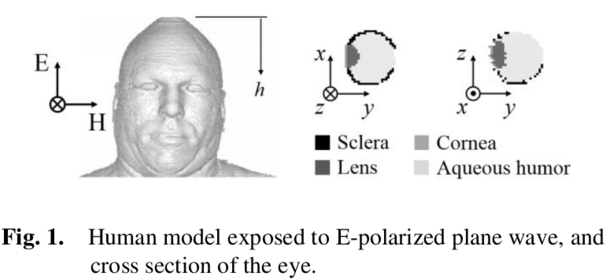 Illustrates The Brooks Anatomically Realistic Human - Monochrome (850x395), Png Download