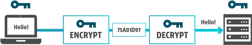 Encryption And Decryption Png (915x256), Png Download