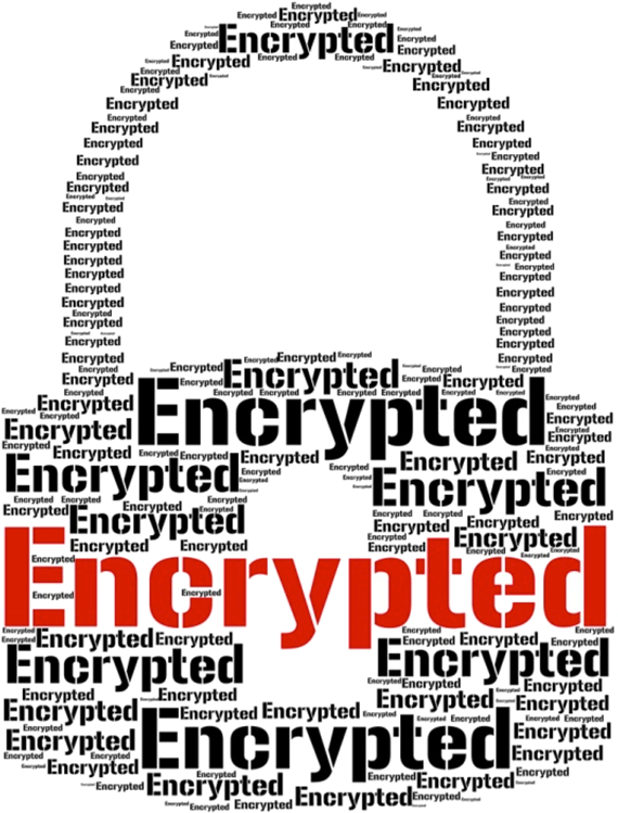 Speak To Encryptech Today And Find Out How We Can Help - Encryption Png (622x783), Png Download