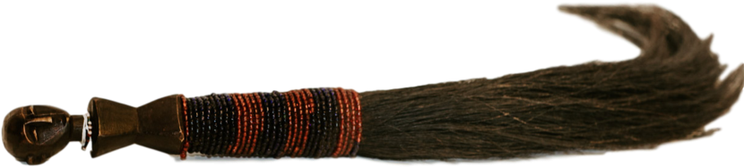 Wildebeest Tail - Wildebeest (1024x683), Png Download