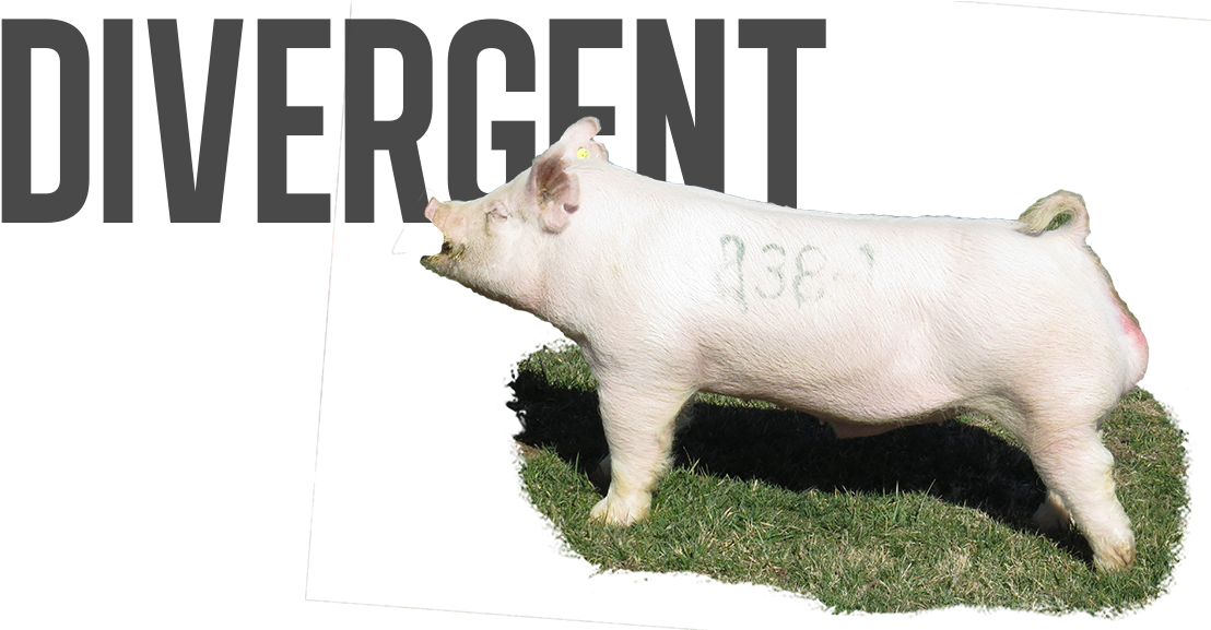 Light - Video Game (1131x576), Png Download