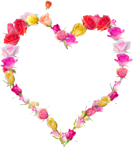 J - O - Pic - Centerblog - Net/b34f3a0e - Une Photo De Fleur (466x500), Png Download