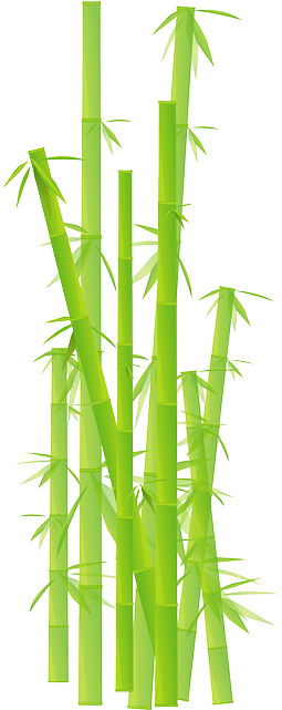 Bamboo Clipart Transparent Background (320x640), Png Download