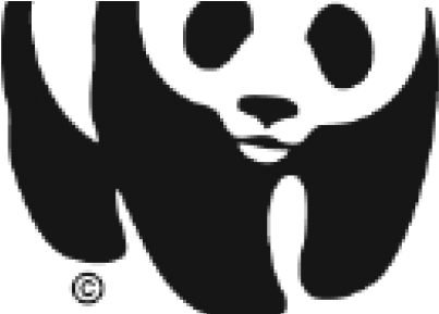 The Panda, Beloved Around The World, Is A Symbol Of - Camo Lokai Bracelet Limited Edition Wwf Size Medium (618x288), Png Download