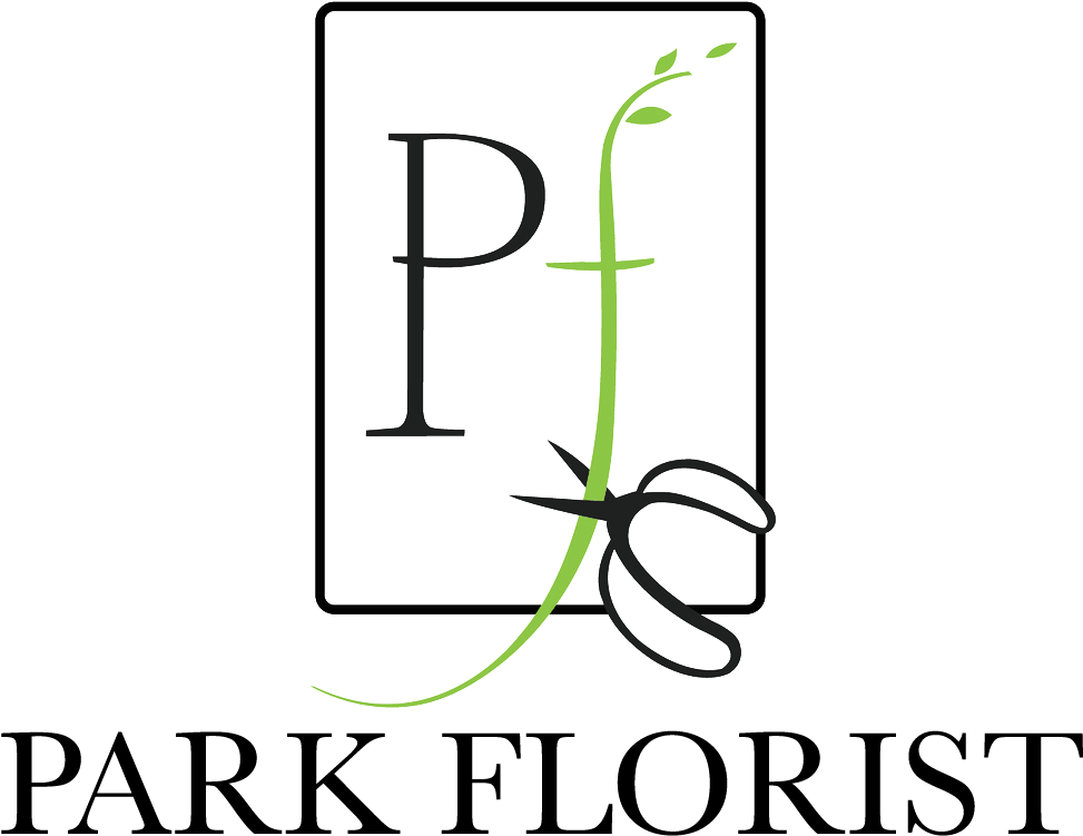 Takoma Park, Md Florist - Highland Capital Partners (1086x833), Png Download