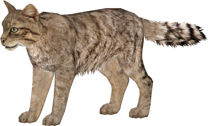 Squitten (800x600), Png Download