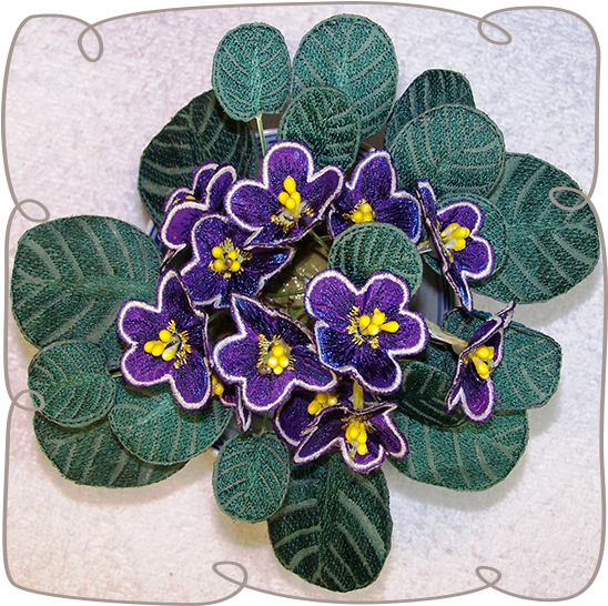 African Violets (580x580), Png Download