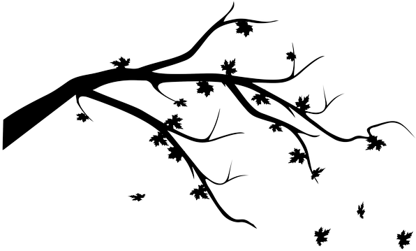 Choose Color - Leaves Falling Black And White (645x400), Png Download