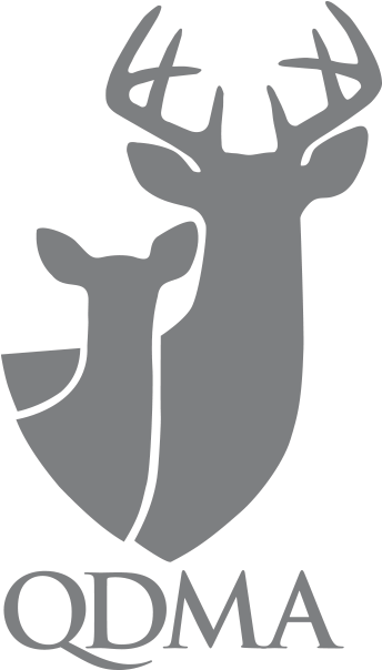 Qdma Deer (900x900), Png Download