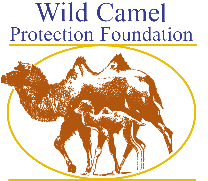 Wild Camel Transparent - Wild Camel Protection Foundation (466x421), Png Download