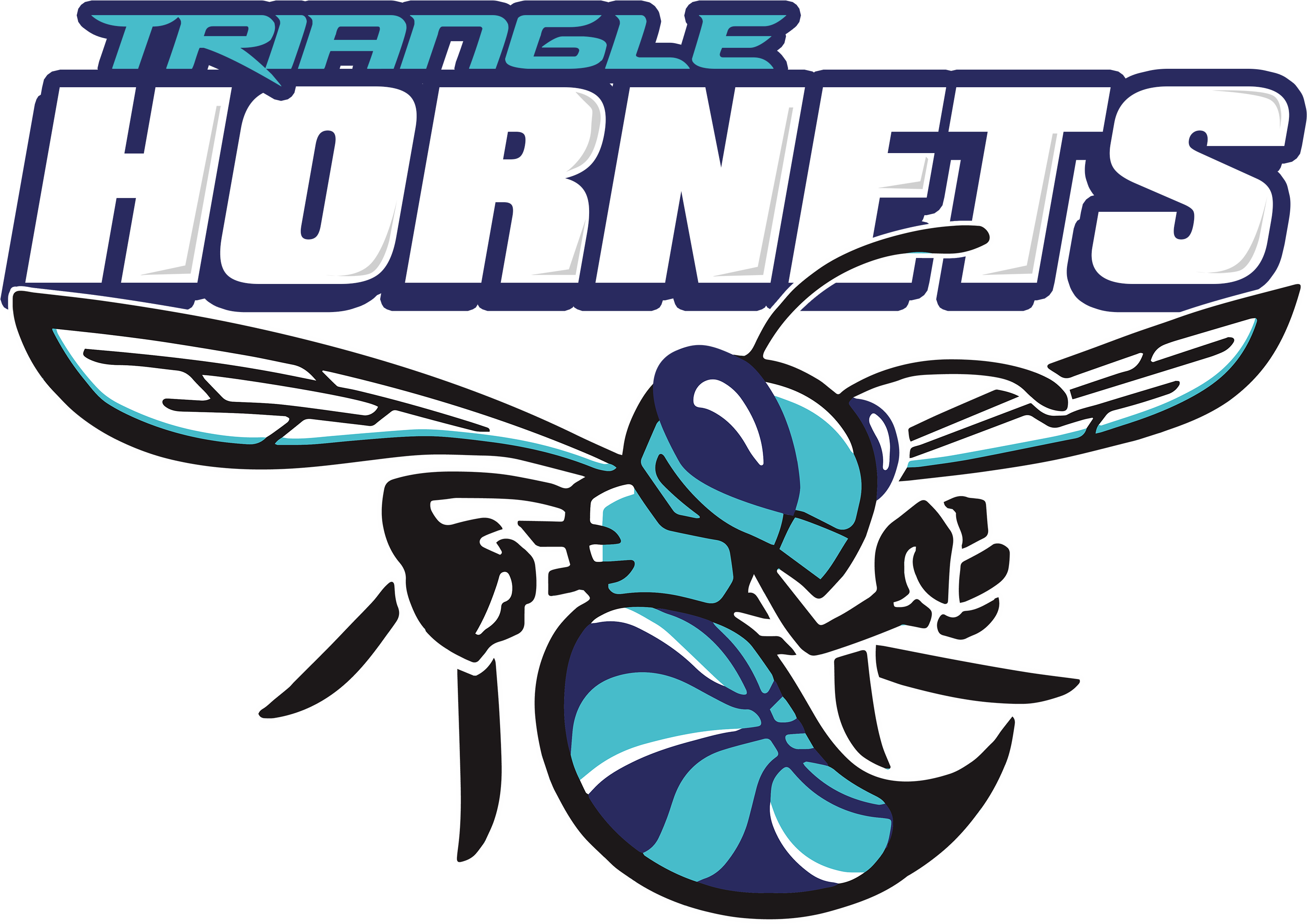 Hornet Logo - Charlotte Hornets (3333x2433), Png Download