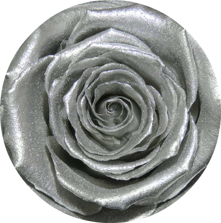 Dark Portions Of The Checker/bullseye Image Is Where - Rose (439x443), Png Download