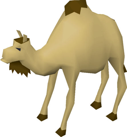 Cam The Camel - Runescape Camel (444x479), Png Download