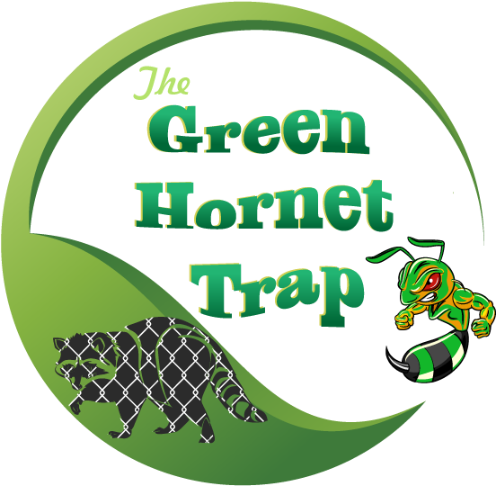 Green Hornet Trap - United States Of America (600x575), Png Download