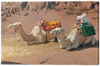 Child (400x400), Png Download