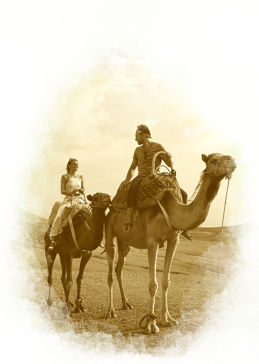 Desert (534x800), Png Download