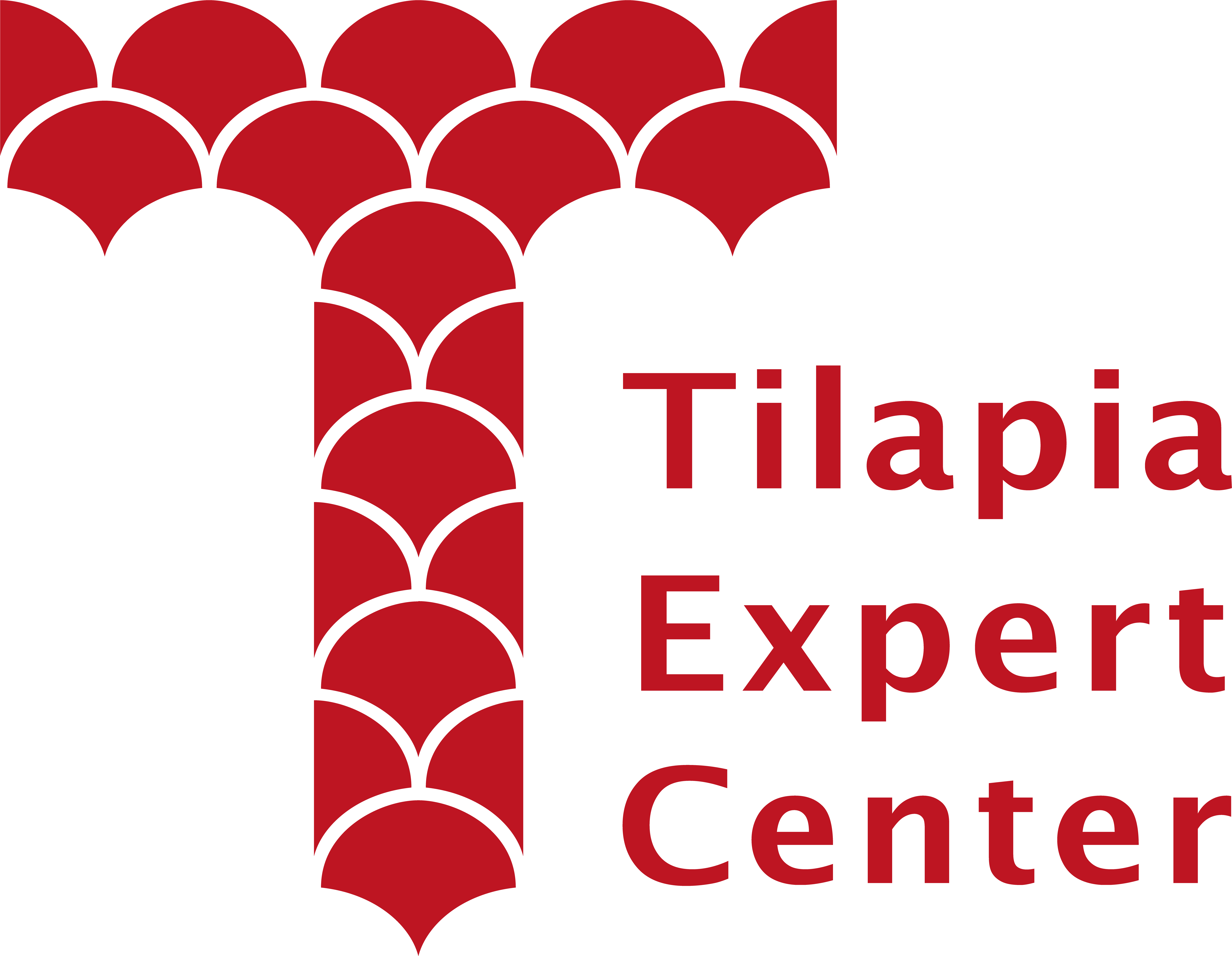 Tilapia Expert Center Is A International Network Of - Heart (7336x5640), Png Download