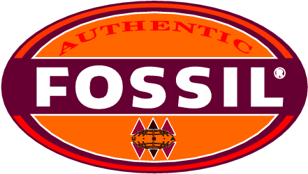 N/a - Logo Fossil (462x261), Png Download