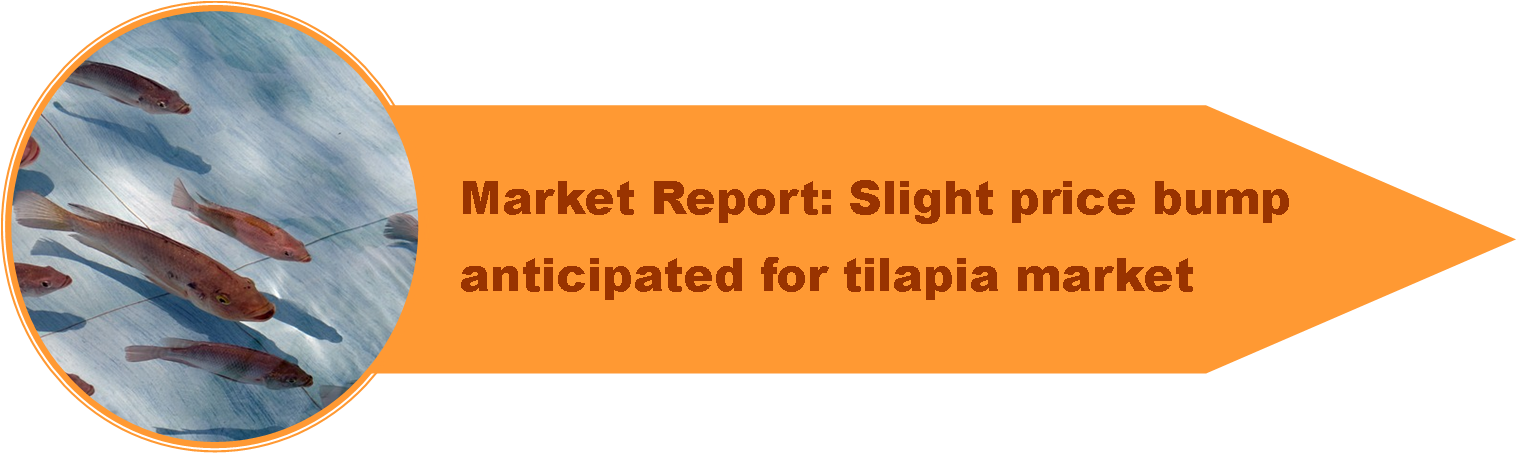 Premi 1 - Advertising Agency (1515x459), Png Download