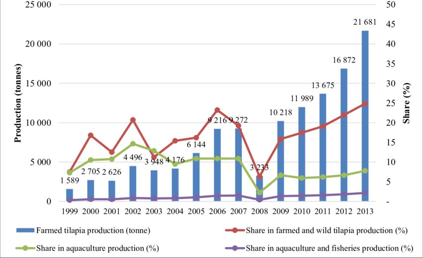 Tilapia Aquaculture Production In Nigeria - Aquaculture Of Tilapia (850x519), Png Download