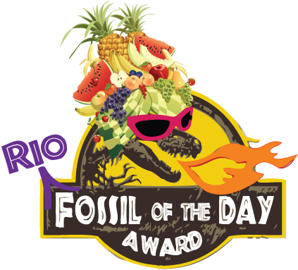 Curious Rumba: Elementary Piano Solo (445x400), Png Download