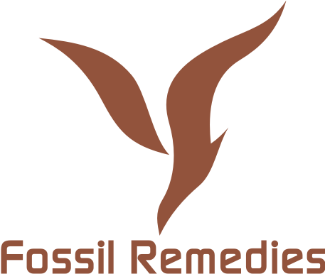 393fossil-logo - Vienna Museum (456x393), Png Download