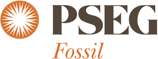 Pseg Long Island Logo (800x600), Png Download