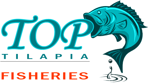 Top Tilapia - Tilapia Logo (695x342), Png Download