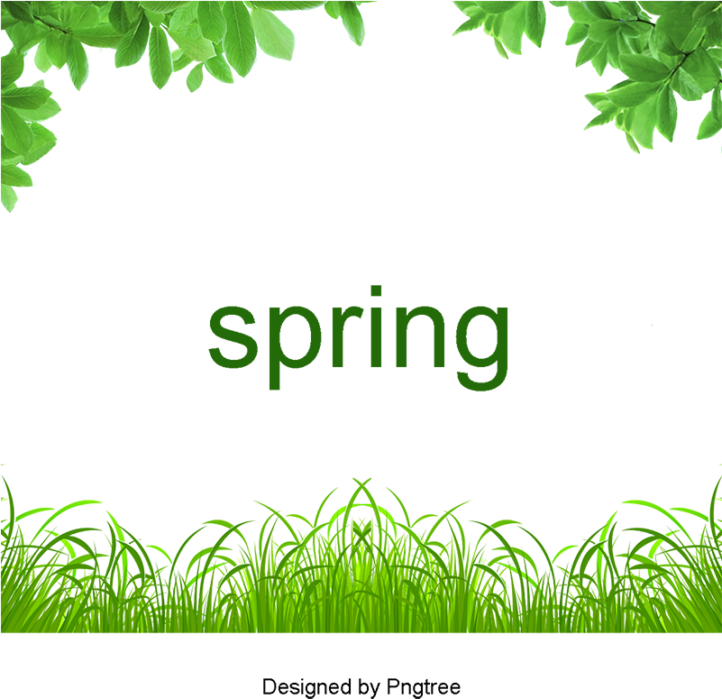 La Primavera De Hojas Verdes Y Pasto - Juice (800x800), Png Download
