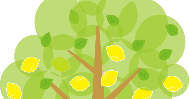 Lemon Tree Clipart (800x420), Png Download