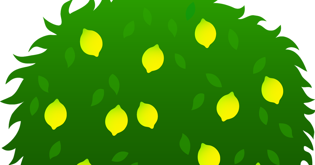 Ten Apples On A Tree (1200x630), Png Download