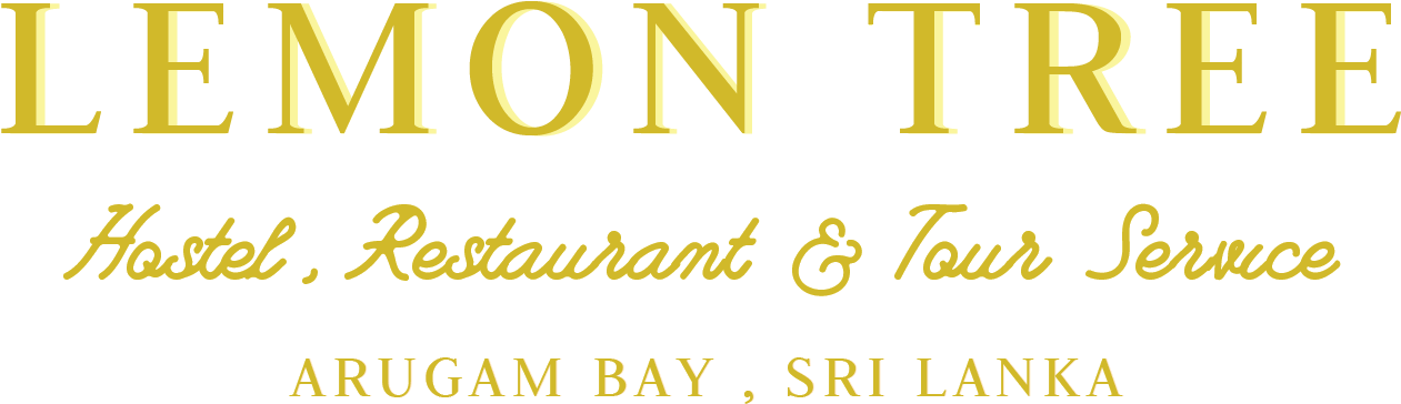 Menu - Lemon Tree Arugam Bay (1291x410), Png Download